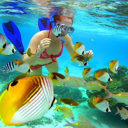 ホテル サンクチュアリ ラロトンガ オン ザ ビーチ（大人専用） ラロトンガ島 エクステリア 写真